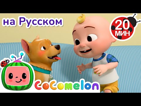 Собачья охота🐶🎶 | CoComelon на русском — Детские песенки
