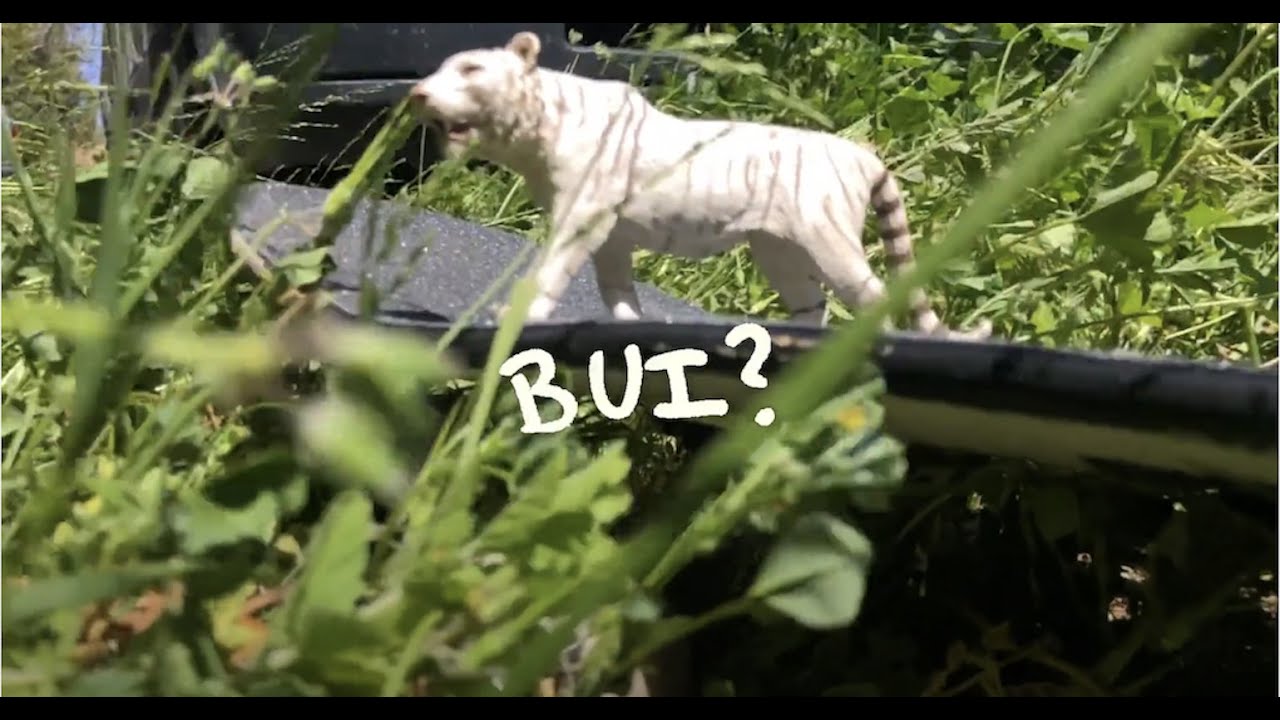 Watch "UBI" - Walter Etc. (lyric video) on YouTube Watch "UBI" - Walter Etc. (lyric video) on YouTube