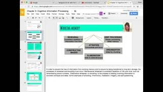 Chapter 3: Cognitive Information Processing