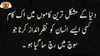 Sunehri Baatein In Urdu Khoobsoorat Zindagi Best Aqwal E Zareen In Urdu Chamkety Moti