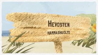 Hengitystieongelmat Hevosklinikka Equivet Helsinki