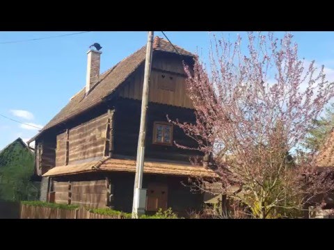 Letovanić