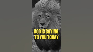 #motiverend #motiverendecitaten #citaten #voorjou #fyp #uk #motiverendevideo #succesmindset