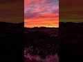 Tarryall Sunrise South Park CO Jan 13, 2026 TALL #bluesky #mountain #colorado  #sunrise #beautiful