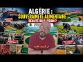 ALGERIA THE GREAT FOOD ILLUSION 