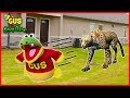ANIMALS ESCAPED FROM THE ZOO!! ANIMAL HUNT AT THE PLAYGROUND PARK WITH GUS THE GUMMY GATOR