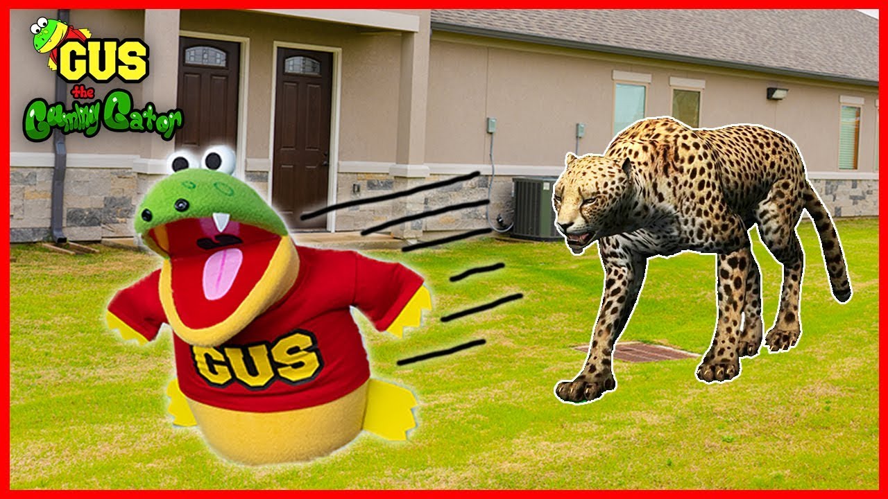 ANIMALS ESCAPED FROM THE ZOO!! ANIMAL HUNT AT THE PLAYGROUND PARK WITH GUS THE GUMMY GATOR