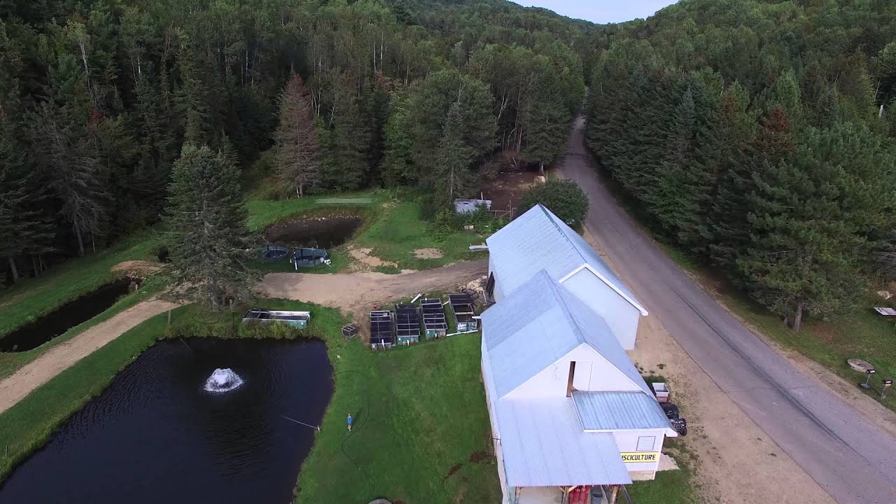 Pisciculture Tardif & Fils Pêche En étang Et Ensemencement Truite