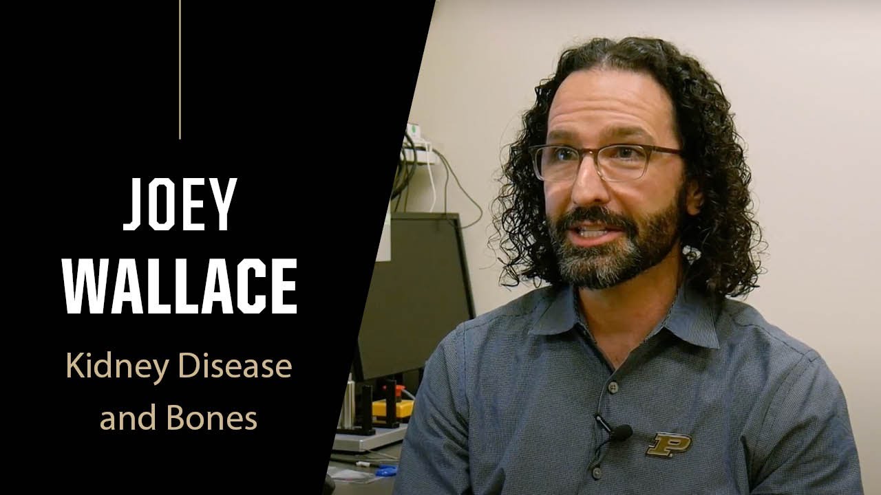 Purdue Expert: Kidney Disease and Bones