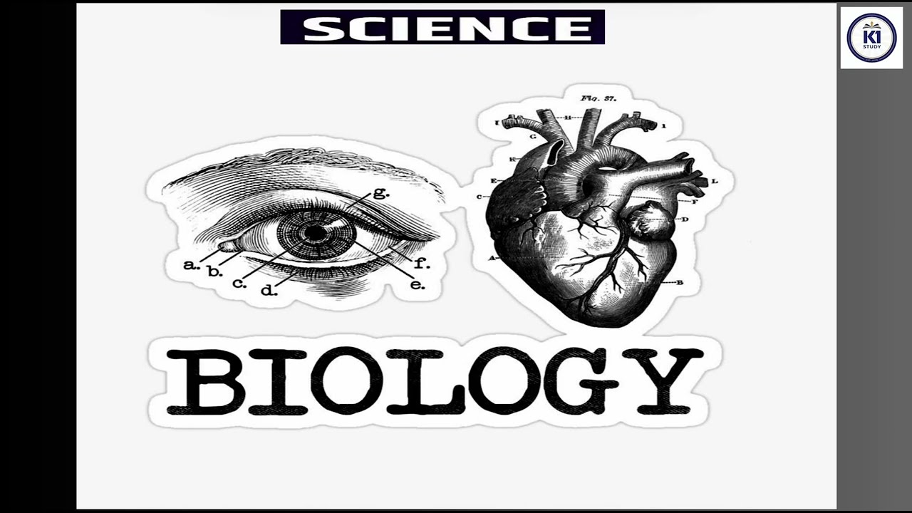 Science 🧬 LDC class