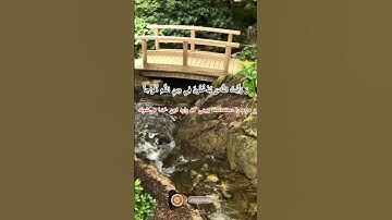 "راز پیروزی الهی در ۳ آیه! | سوره نصر"