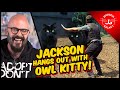 Jackson Hangs Out with Owl Kitty (and her people)!