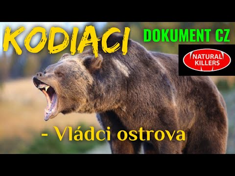 Video: Kde žijú medvede grizly?