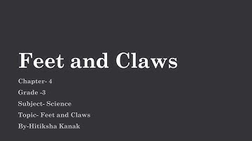 Grade 3 science, Feet and Claws Ch-4 Understanding Birds