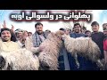 میلاد جمشیدی جاوید احمدی میرویس جمشیدی پهلوانی اوبه روز پنج شنبه ۱۴۰۳ ۱۰ ۲۷ 