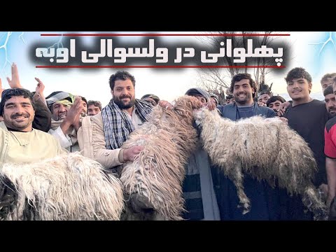 میلاد جمشیدی جاوید احمدی میرویس جمشیدی پهلوانی اوبه روز پنج شنبه ۱۴۰۳ ۱۰ ۲۷ 