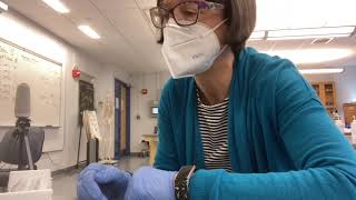 Dr L Setup for Lactase Lab