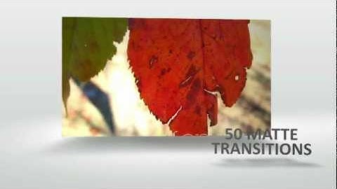 Matte Transitions 50 Pack