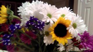 Alexas Fame flowers - Jan 2016