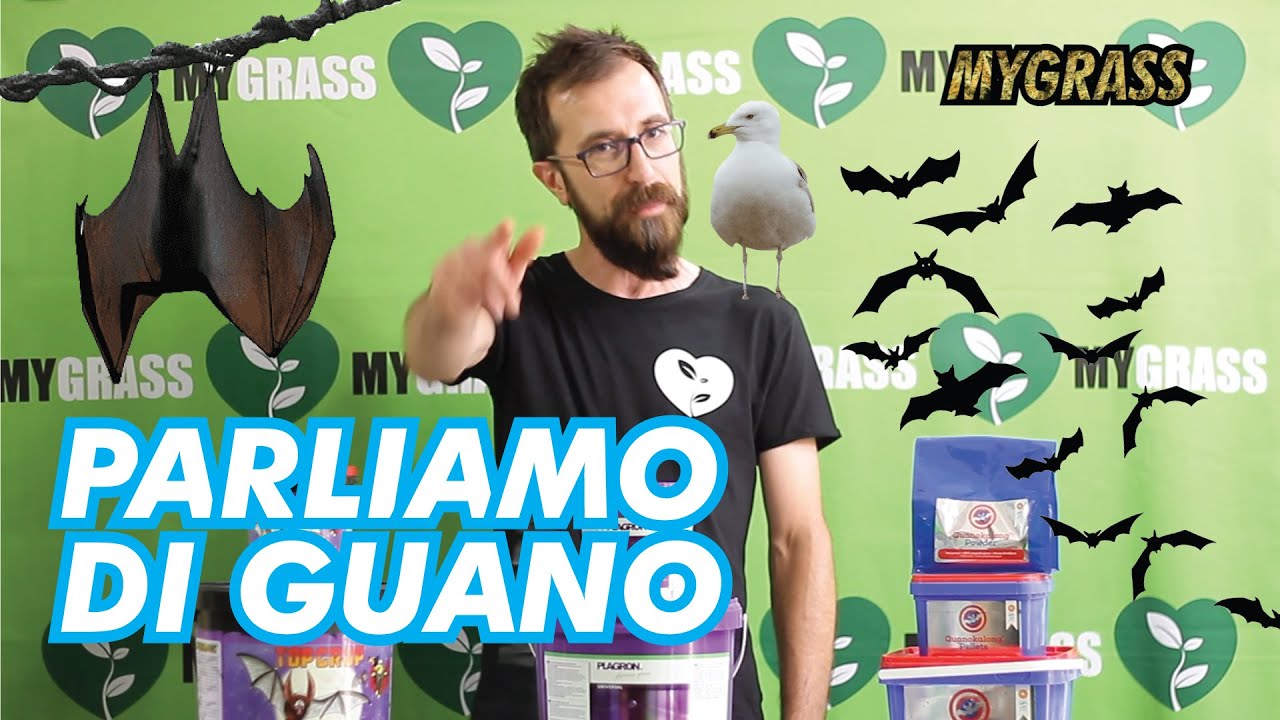 Sub ENG - Guano di pipistrello. Cos'è? come usarlo? a cosa serve?