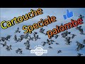  cartouche spciale pigeon n259