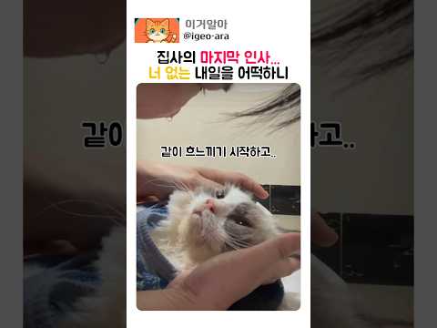 집사의 마지막 인사... 너 없는 내일을 어떡하니