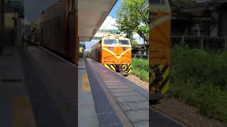 【電力機車】外澳 E300型電力機車牽引貨物列車 通過