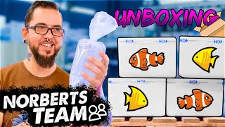 Grosses Meerwasser Unboxing  Norberts Team  Zoo Zajac