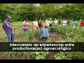 Intercambio de experiencias entre productoras(es) agroecológico
