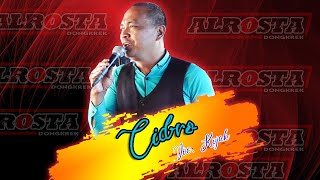 CIDRO || COVER ALROSTA (DONGKREK ) || MARGO MULYO VIDEO & AUDIO