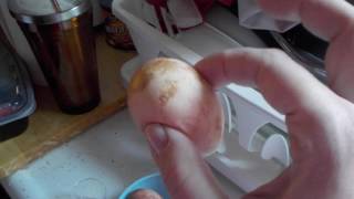 Easter Egg FAIL