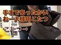 好評につき即完売！手まであったかいお一人様用こたつ TR