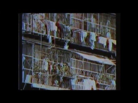 +ma & maschmeyer - azalea  [hanataba ep]