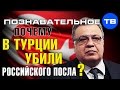 Почему в Турции убили российского посла? (Познавательное ТВ, Артём Войтенков)