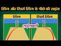 Cricket Science 1 : Ball Swing कराने के पीछे का Science क्या है? | Sciencekaari | Reverse Swing