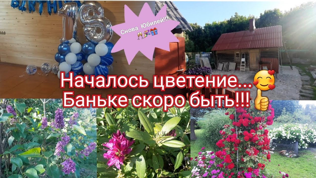 Огород пропололи и поехали ТУСИТЬ!!!?????+?????/Гостевой дом недалеко от ...