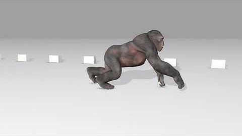 Gorilla run cycle   # Creature animation