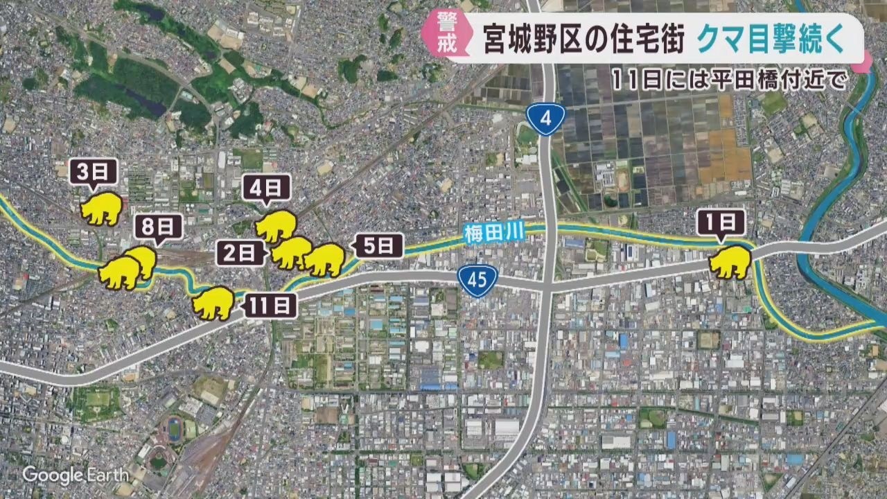 かわ 練馬区までの配達込み かわ 練馬区までの配達込み かわ 練馬区
