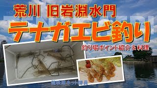 荒川 テナガエビ釣り 旧岩淵水門 釣り場ポイント 料理 健啖隊ネット隊員 Y Katsu Youtube