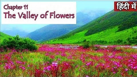 Class 4 पर्यावरण अध्ययन Chapter 11 फुलवारी