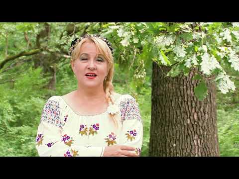 Nina Predescu - Viata, viata ce mai vrei NOU