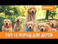 ТОП 10 ПОРОД ДЛЯ ДЕТЕЙ