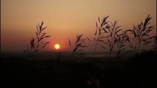 Mudhal Mariyadhai (1985) Flute Bgm || Bharathiraja || Isaignani Ilayaraja