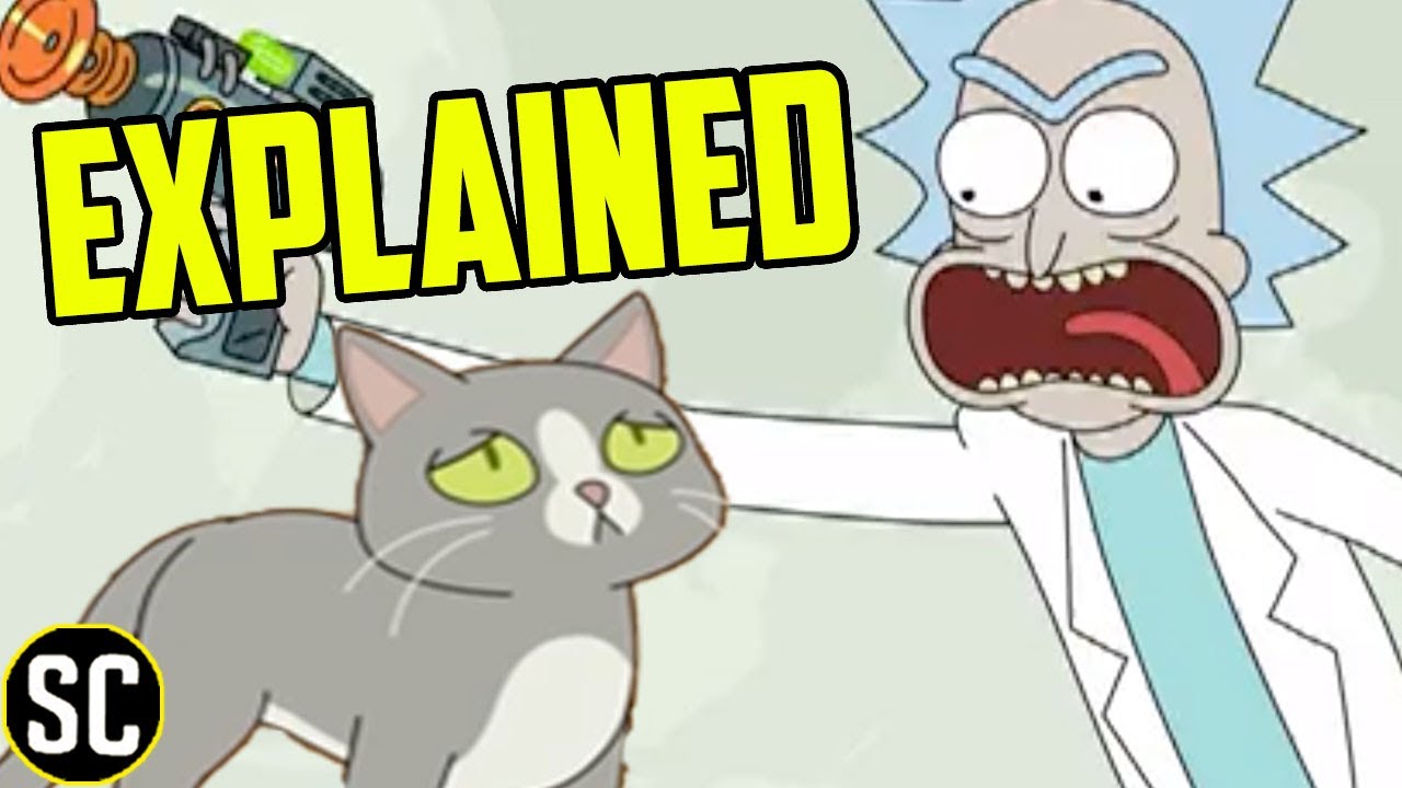 Rick & Morty: What the Talking Cat Really Means