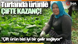 Örtü Altında İki Farklı Ürün Yetiştiren Çiftçiler Verimden ve Gelirden Memnun! Resimi