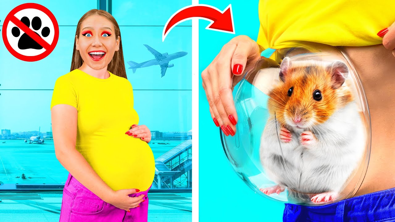 So Schleust Du Dein Haustier Ins Flugzeug | Verrückte Streichideen von TeenTeam Challenge