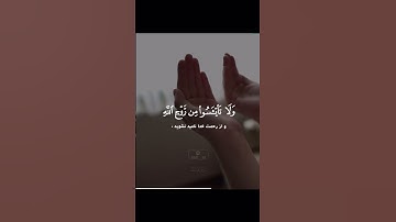 #سوره مبارکه یوسف آیه ۸۷ با ترجمه زیر نویس فارسی