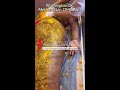 Black Bella Spa Turmeric, Papaya & Coconut Butter Body Scrub #shorts