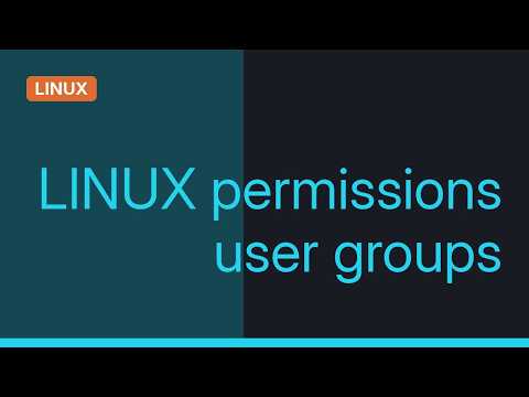 groupadd: command not found (3 Solutions!!)