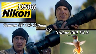 видео: Давайте сравним объективы Nikon D800, снимающего колибри. картинка: Давайте сравним объективы Nikon D800, снимающего колибри.